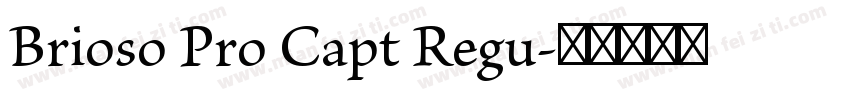 Brioso Pro Capt Regu字体转换